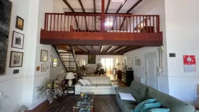 Apartment on Calle José Gutiérrez Petén photo 12