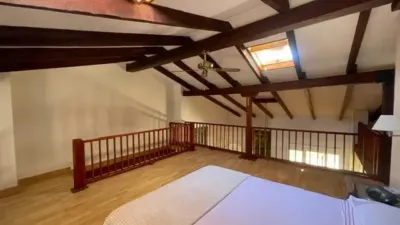 Apartment on Calle José Gutiérrez Petén photo 15