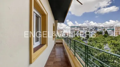 Apartment in San Pablo photo 27