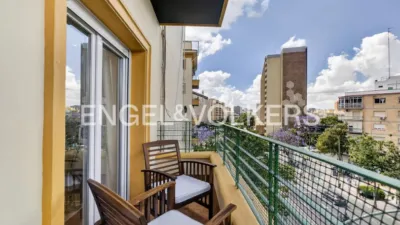 Apartment in San Pablo photo 29