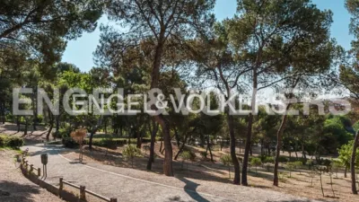 Piso en alquiler en Calle de las Cuevas - Imagen 25