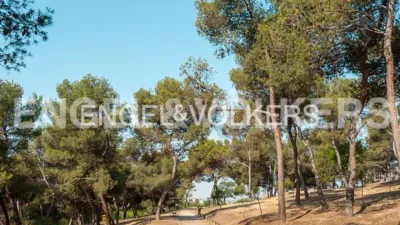 Piso en alquiler en Calle de las Cuevas - Imagen 26