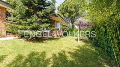 House in La Canaleja Street Area photo 44