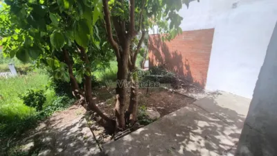 House on Carrer Major, 611 photo 28