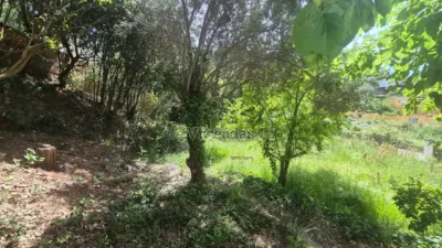 House on Carrer Major, 611 photo 30