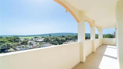 Apartment in El Toro photo 13