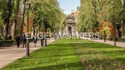 Apartment in Goya photo 28