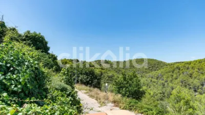 House in Castellet i la Gornal photo 17