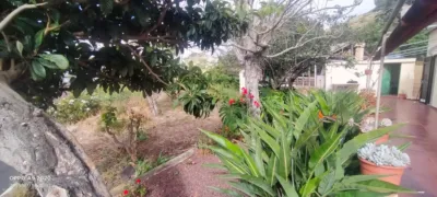 House in Vega de Las Mercedes-Jardina-Las Mercedes photo 20