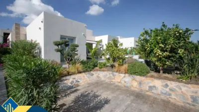 Chalet in Algorfa photo 26