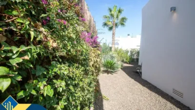 Chalet in Algorfa photo 27