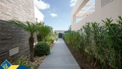 Chalet in Algorfa photo 28