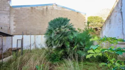 Apartment in Pollença Air Base photo 7