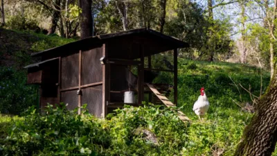 Casa en venta en Benamahoma, Benamahoma (Grazalema) de 650.000 €