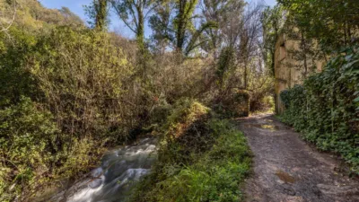 Casa en venta en Benamahoma, Benamahoma (Grazalema) de 650.000 €