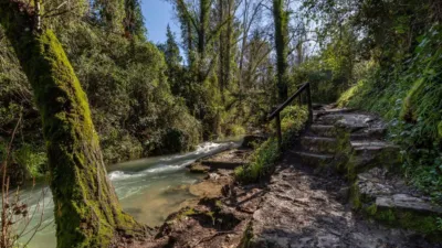 Casa en venta en Benamahoma, Benamahoma (Grazalema) de 650.000 €