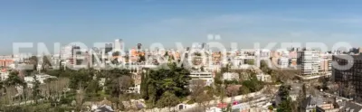 Apartment in El Viso photo 33