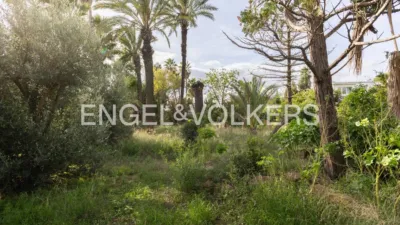 House in La Cañada photo 16