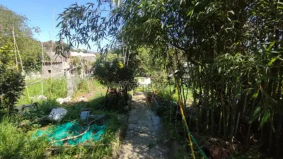 House in Sant Esteve Sesrovires photo 23