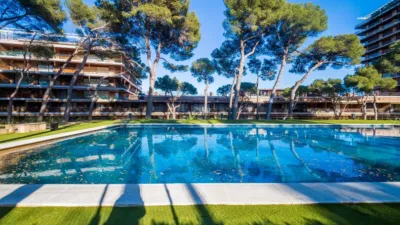 Apartment in Sant Antoni de Calonge photo 28