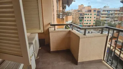 Apartment in Son Oliva photo 18