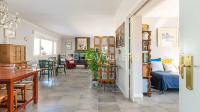 House in Pinosol-El Alcor-Peralejo photo 2