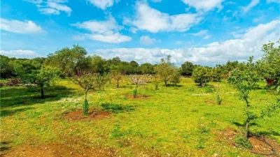 Rustic house in Algaida photo 24