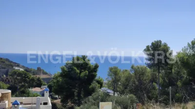 House in Bellamar photo 8