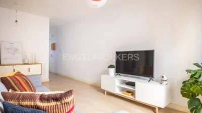 Apartment in San Lorenzo photo 15