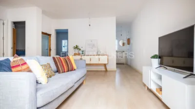 Apartment in San Lorenzo photo 16