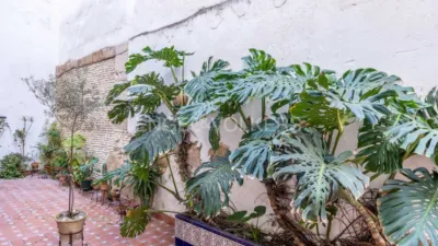 Apartment in San Lorenzo photo 31