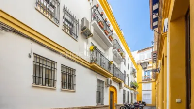 Apartment in San Lorenzo photo 33