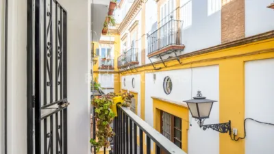 Apartment in San Lorenzo photo 3