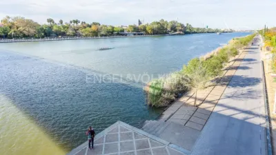 Apartment in San Lorenzo photo 38