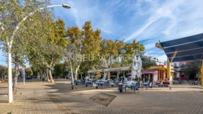Apartment in San Lorenzo photo 40