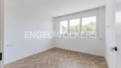 House in Bellamar photo 16