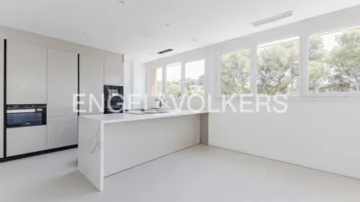 House in Bellamar photo 7
