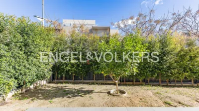 Apartment in Vallpineda-Santa Bàrbara photo 18