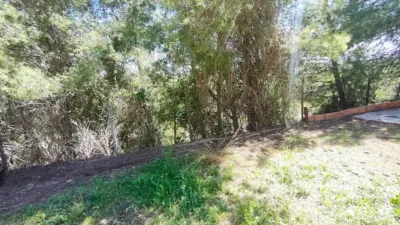 Chalet in Godelleta photo 52