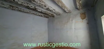 Rustic house in Sant Pere Sallavinera photo 18