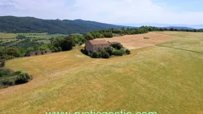 Rustic house in Sant Pere Sallavinera photo 3