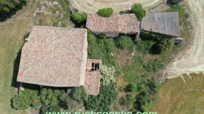 Rustic house in Sant Pere Sallavinera photo 8