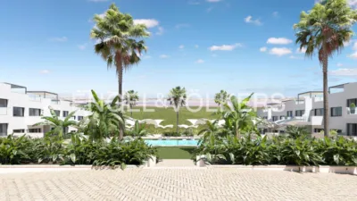 Pis – Torrevieja - Més
