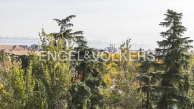 Apartamento en alquiler en Ciudad Jardín - Imagen 23