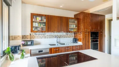 Apartment in Doctor Fedriani photo 16