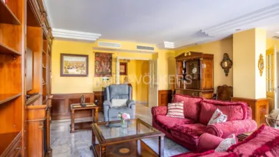 Apartment in Doctor Fedriani photo 21