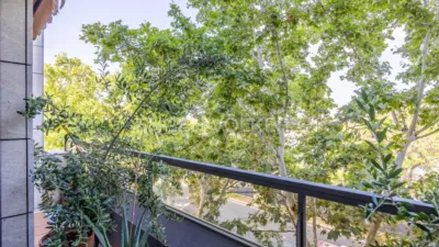 Apartment in Doctor Fedriani photo 33