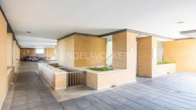 Apartment in Doctor Fedriani photo 52