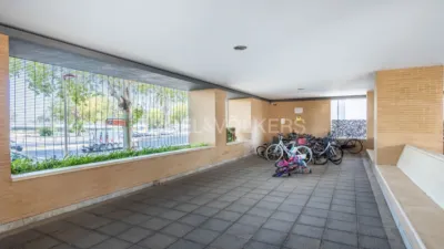 Apartment in Doctor Fedriani photo 53