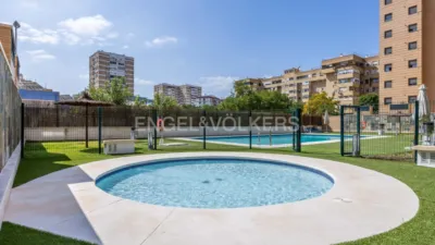 Apartment in Doctor Fedriani photo 55